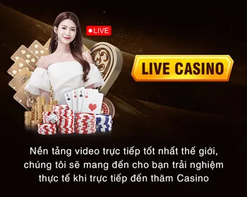 Chương trình hoàn trả hàng tuần cho cá cược đá gà